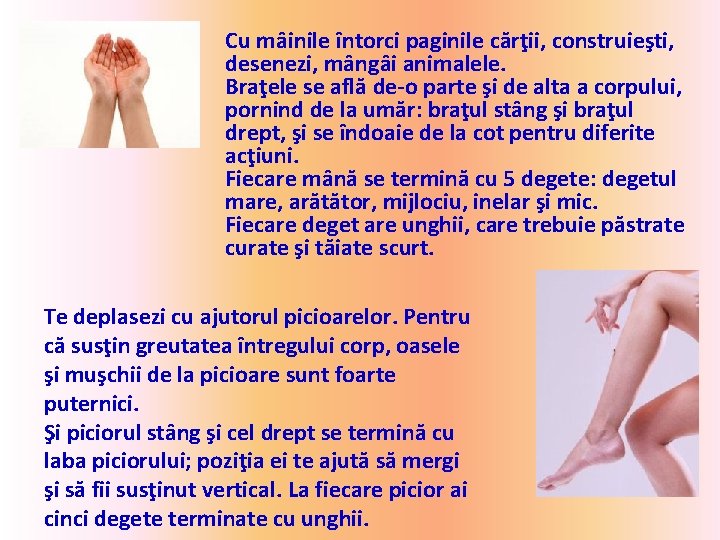 Cu mâinile întorci paginile cărţii, construieşti, desenezi, mângâi animalele. Braţele se află de-o parte
