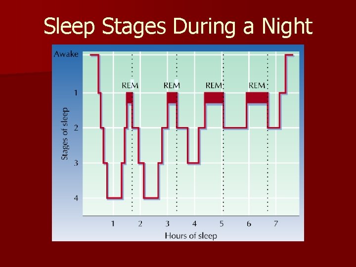 Sleep Stages During a Night Sleep Stages During a Night