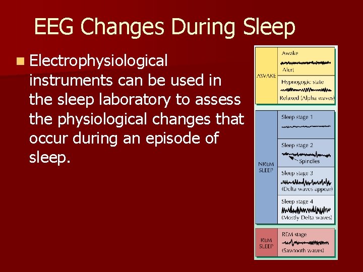 EEG Changes During Sleep n Electrophysiological instruments can be used in the sleep laboratory EEG Changes During Sleep n Electrophysiological instruments can be used in the sleep laboratory