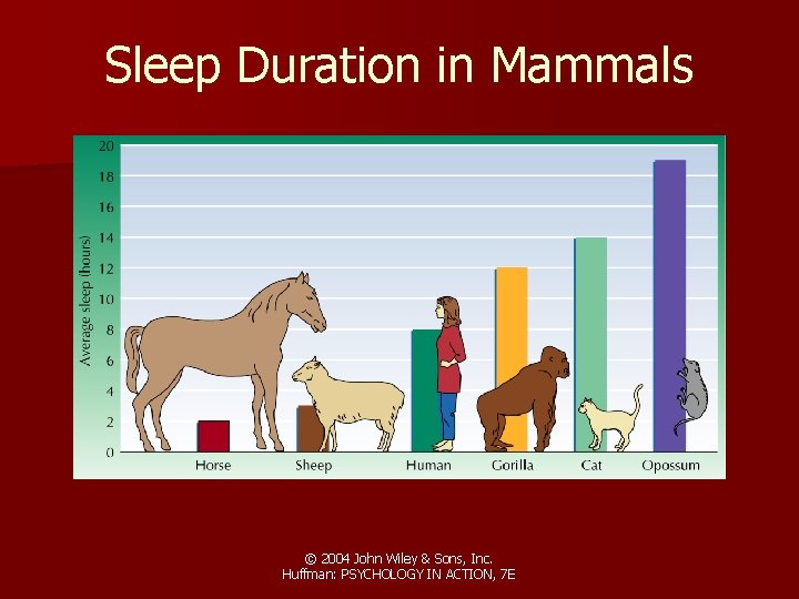 Sleep Duration in Mammals © 2004 John Wiley & Sons, Inc. Huffman: PSYCHOLOGY IN Sleep Duration in Mammals © 2004 John Wiley & Sons, Inc. Huffman: PSYCHOLOGY IN