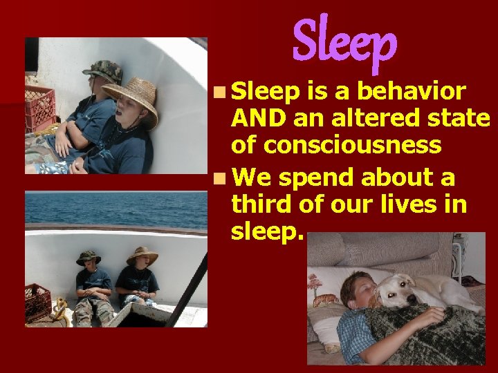 Sleep n Sleep is a behavior AND an altered state of consciousness n We Sleep n Sleep is a behavior AND an altered state of consciousness n We