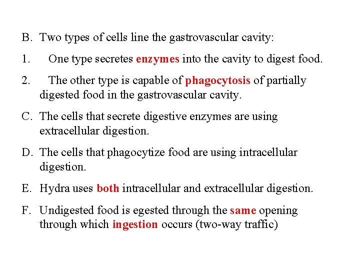 B. Two types of cells line the gastrovascular cavity: 1. 2. One type secretes