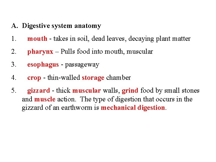 A. Digestive system anatomy 1. mouth - takes in soil, dead leaves, decaying plant