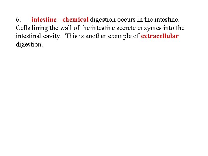 6. intestine - chemical digestion occurs in the intestine. Cells lining the wall of
