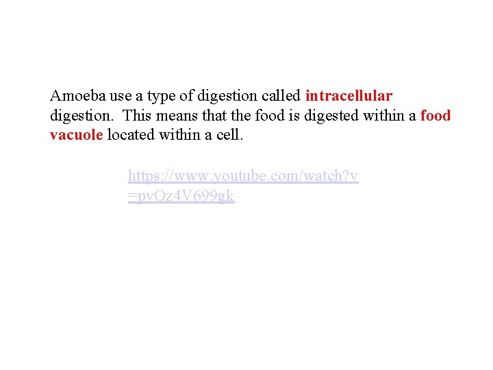 Amoeba use a type of digestion called intracellular digestion. This means that the food