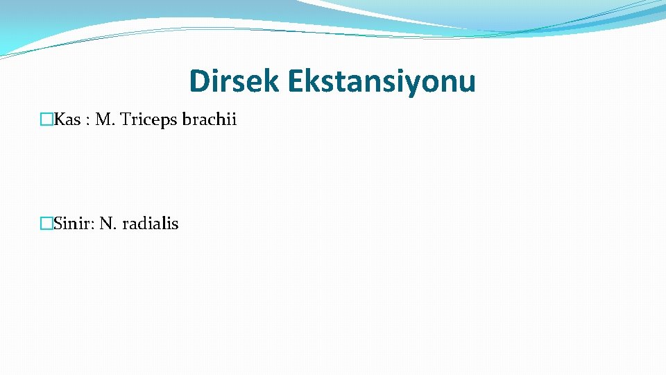 Dirsek Ekstansiyonu �Kas : M. Triceps brachii �Sinir: N. radialis 