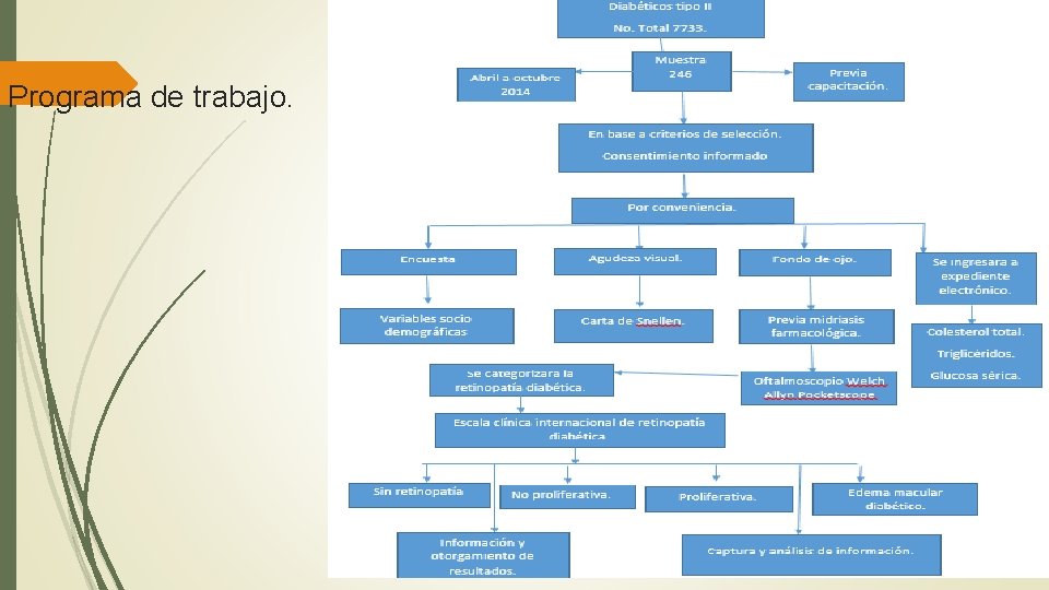 Programa de trabajo. 