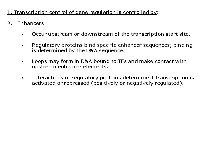 1. Transcription control of gene regulation is controlled by: 2. Enhancers • Occur upstream