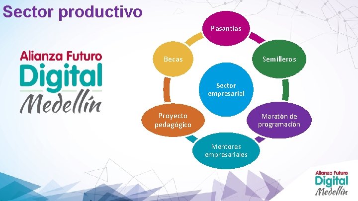 Sector productivo Pasantías Becas Semilleros Sector empresarial Proyecto pedagógico Maratón de programación Mentores empresariales