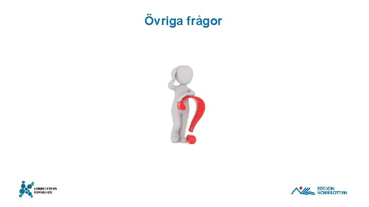 Övriga frågor 