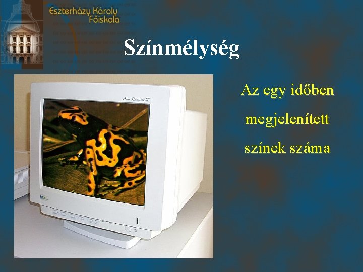 Színmélység Az egy időben megjelenített színek száma 