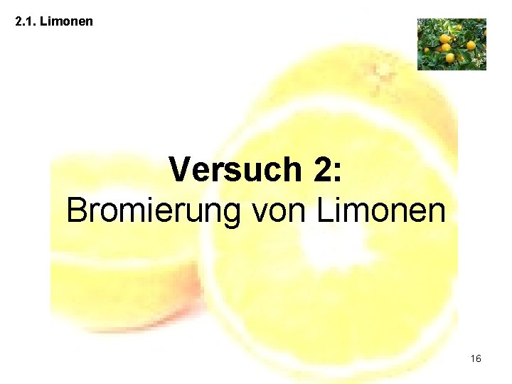 2. 1. Limonen Versuch 2: Bromierung von Limonen 16 