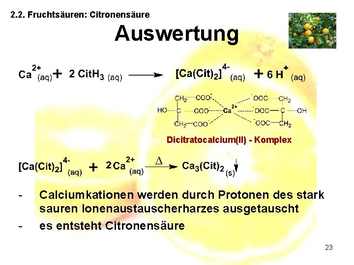 2. 2. Fruchtsäuren: Citronensäure Auswertung Dicitratocalcium(II) - Komplex - Calciumkationen werden durch Protonen des