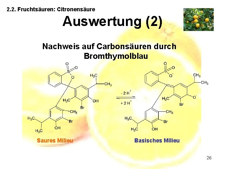 2. 2. Fruchtsäuren: Citronensäure Auswertung (2) Nachweis auf Carbonsäuren durch Bromthymolblau Saures Milieu Basisches