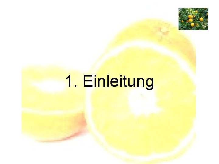 1. Einleitung 