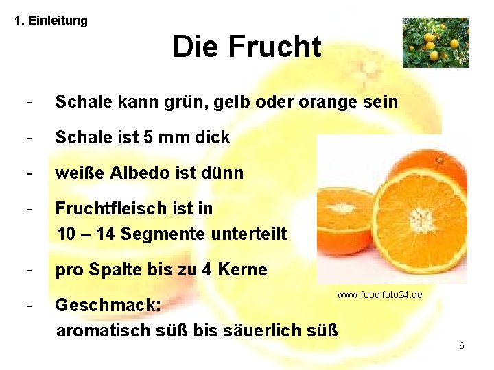 1. Einleitung Die Frucht - Schale kann grün, gelb oder orange sein - Schale