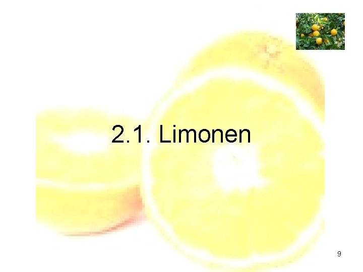 2. 1. Limonen 9 