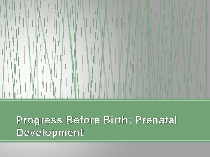 Progress Before Birth: Prenatal Development 