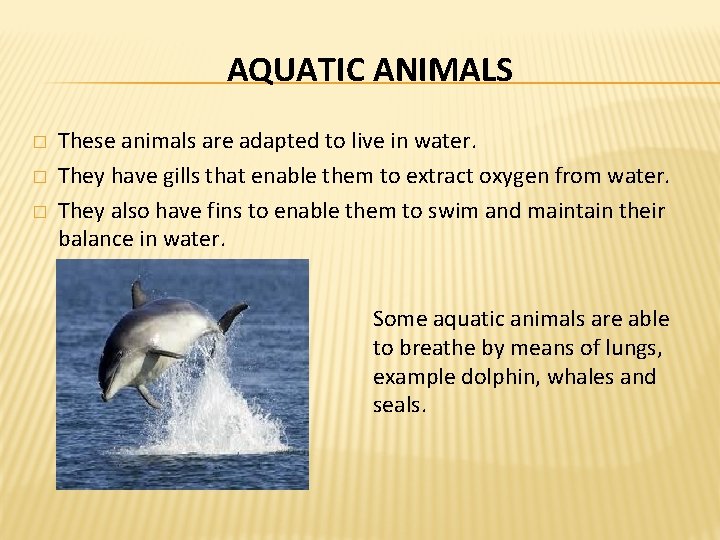 AQUATIC ANIMALS � � � These animals are adapted to live in water. They AQUATIC ANIMALS � � � These animals are adapted to live in water. They