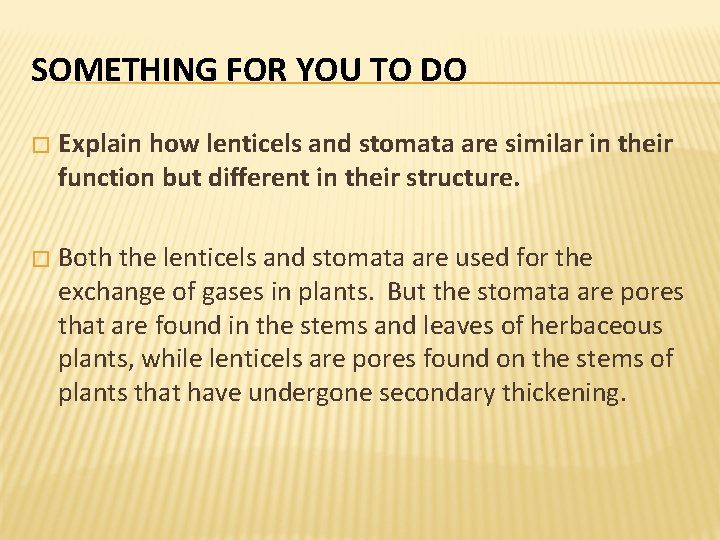 SOMETHING FOR YOU TO DO � Explain how lenticels and stomata are similar in SOMETHING FOR YOU TO DO � Explain how lenticels and stomata are similar in