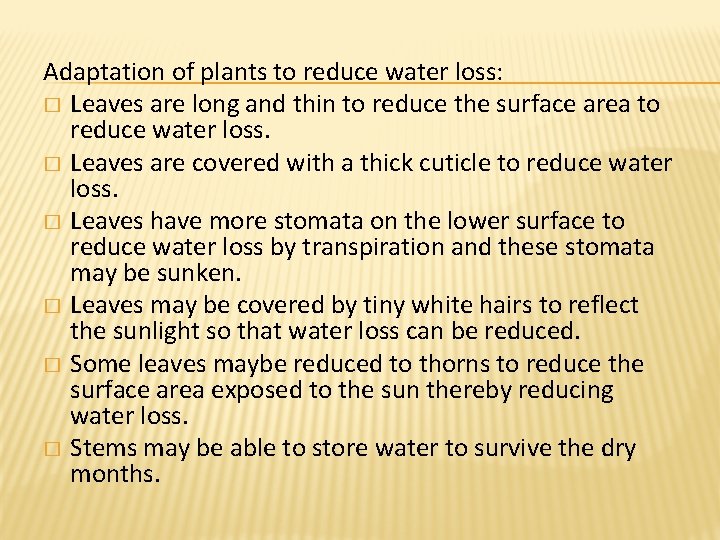 Adaptation of plants to reduce water loss: � Leaves are long and thin to Adaptation of plants to reduce water loss: � Leaves are long and thin to