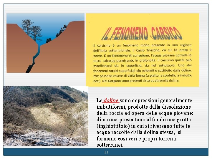 Le doline sono depressioni generalmente imbutiformi, prodotte dalla dissoluzione della roccia ad opera delle