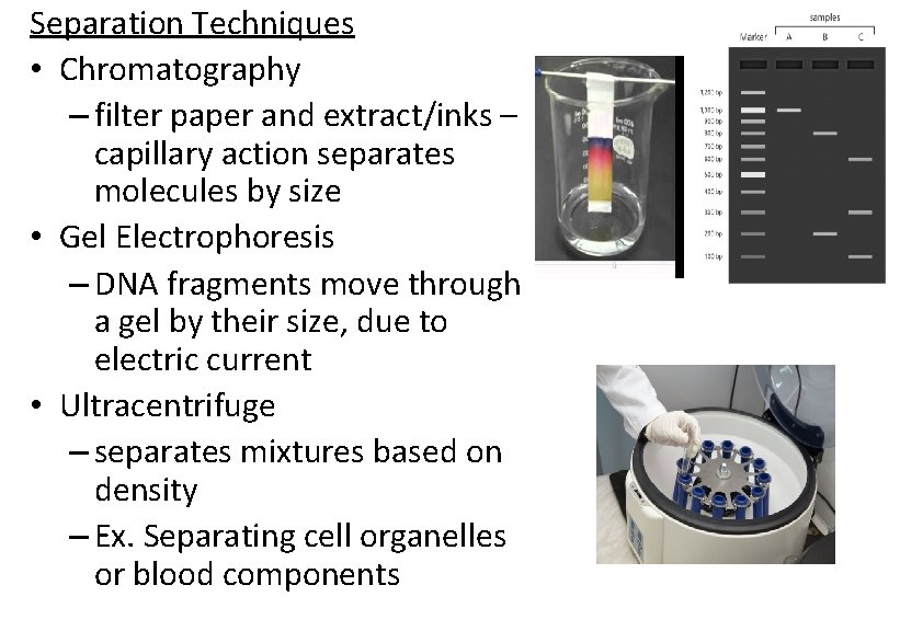 Separation Techniques • Chromatography – filter paper and extract/inks – capillary action separates molecules