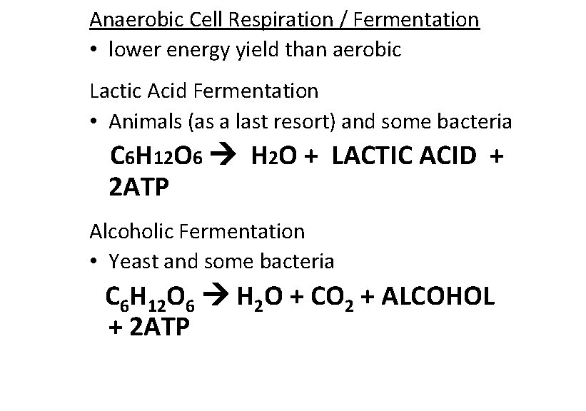 Anaerobic Cell Respiration / Fermentation • lower energy yield than aerobic Lactic Acid Fermentation