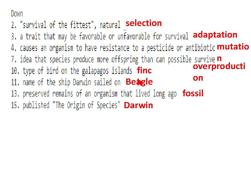 selection finc Beagle h Darwin adaptation mutatio n overproducti on fossil 
