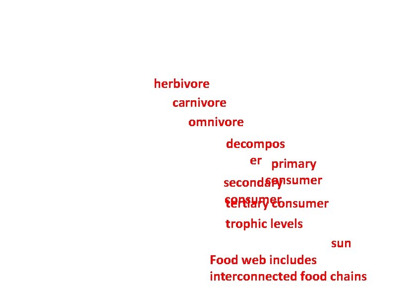 herbivore carnivore omnivore decompos er primary consumer secondary consumer tertiary consumer trophic levels sun