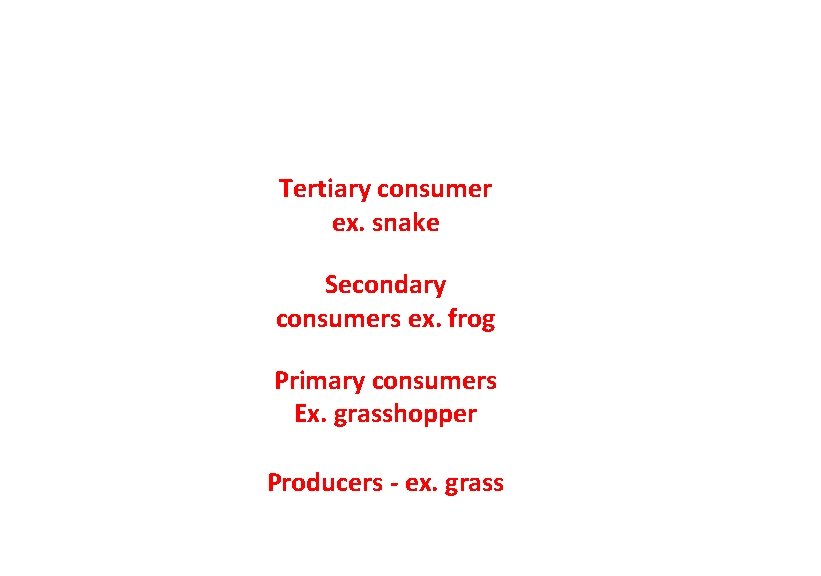 Tertiary consumer ex. snake Secondary consumers ex. frog Primary consumers Ex. grasshopper Producers -