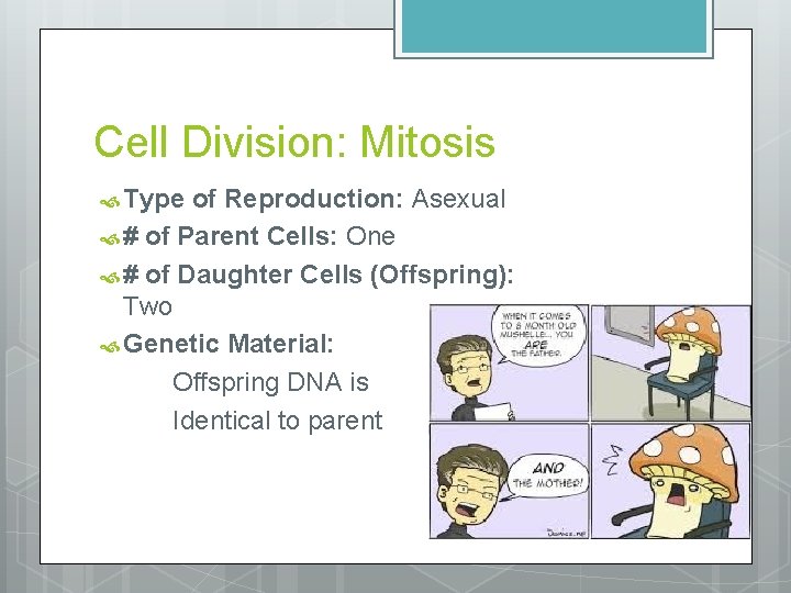 Cell Division: Mitosis Type of Reproduction: Asexual # of Parent Cells: One # of
