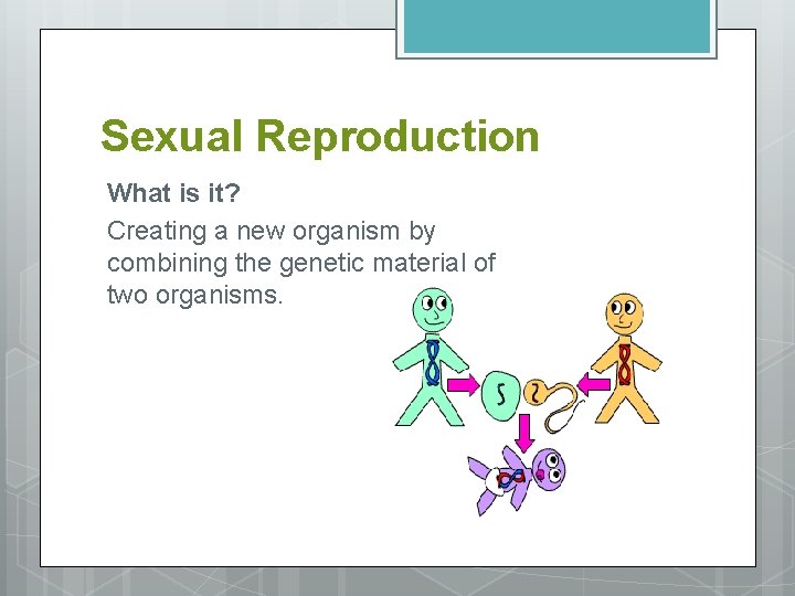 Sexual Reproduction What is it? Creating a new organism by combining the genetic material