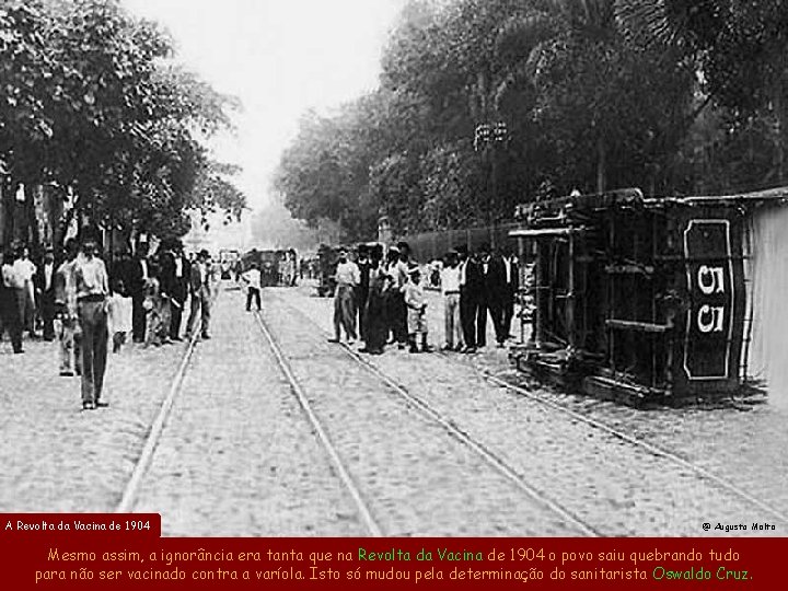 A Revolta da Vacina de 1904 @ Augusto Malta Mesmo assim, a ignorância era A Revolta da Vacina de 1904 @ Augusto Malta Mesmo assim, a ignorância era