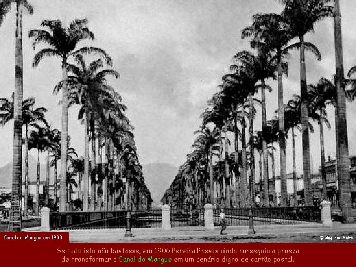 Canal do Mangue em 1908 Se tudo isto não bastasse, em 1906 Pereira Passos Canal do Mangue em 1908 Se tudo isto não bastasse, em 1906 Pereira Passos