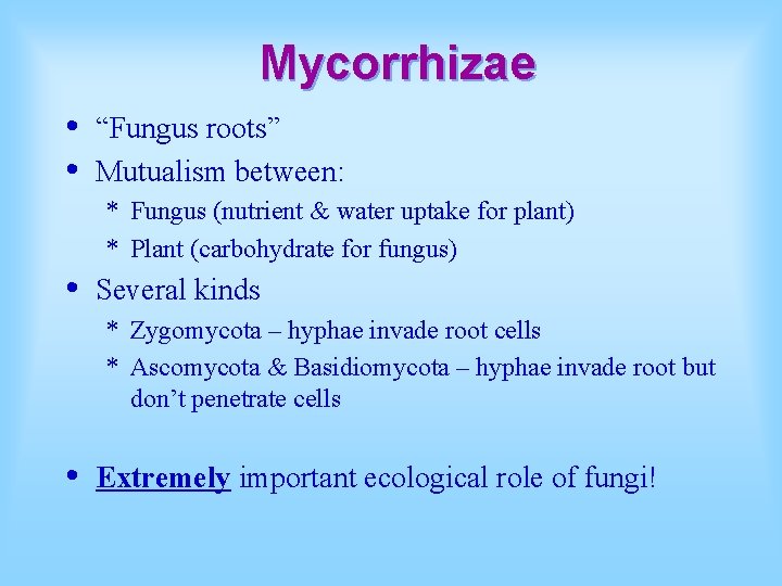 Mycorrhizae • • “Fungus roots” Mutualism between: * Fungus (nutrient & water uptake for