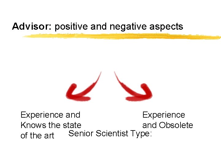 Advisor: positive and negative aspects Experience and Experience Knows the state and Obsolete Senior