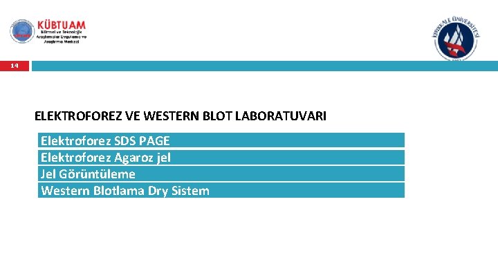 14 ELEKTROFOREZ VE WESTERN BLOT LABORATUVARI Elektroforez SDS PAGE Elektroforez Agaroz jel Jel Görüntüleme