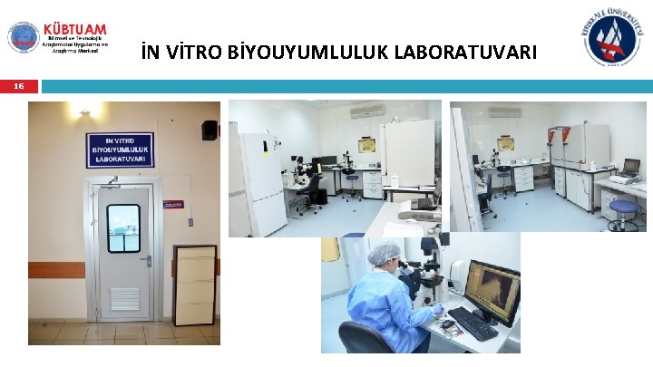 İN VİTRO BİYOUYUMLULUK LABORATUVARI 16 