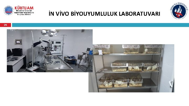 İN VİVO BİYOUYUMLULUK LABORATUVARI 26 