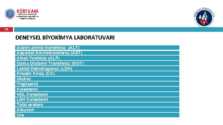 28 DENEYSEL BİYOKİMYA LABORATUVARI Alanin amino transferaz (ALT) Aspartat Aminotransferaz (AST) Alkali Fosfataz (ALP)