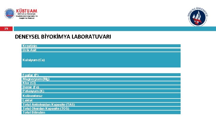 29 DENEYSEL BİYOKİMYA LABORATUVARI Kreatinin Ürik Asit Kalsiyum (Ca) Fosfor (P) Magnezyum (Mg) Klor