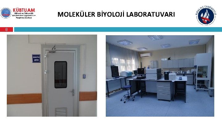 MOLEKÜLER BİYOLOJİ LABORATUVARI 8 