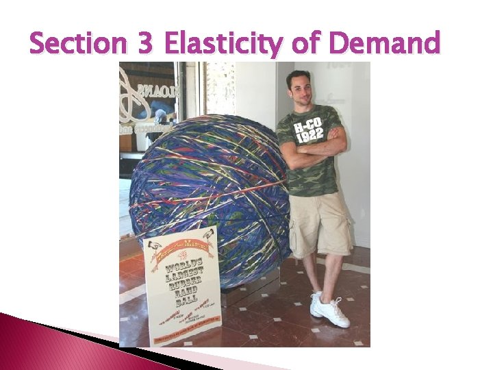 Section 3 Elasticity of Demand 