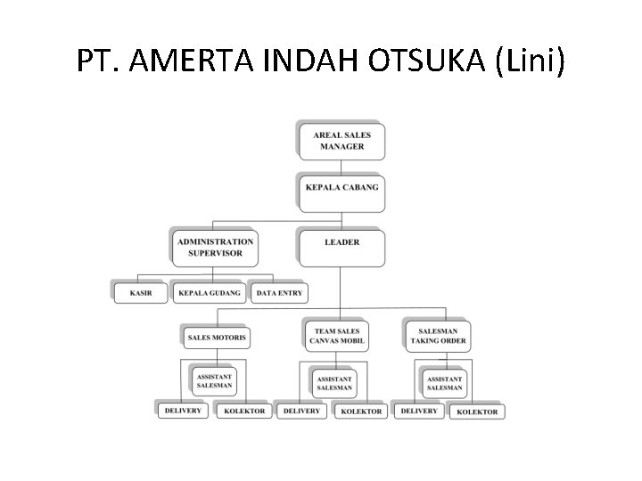 PT. AMERTA INDAH OTSUKA (Lini) 