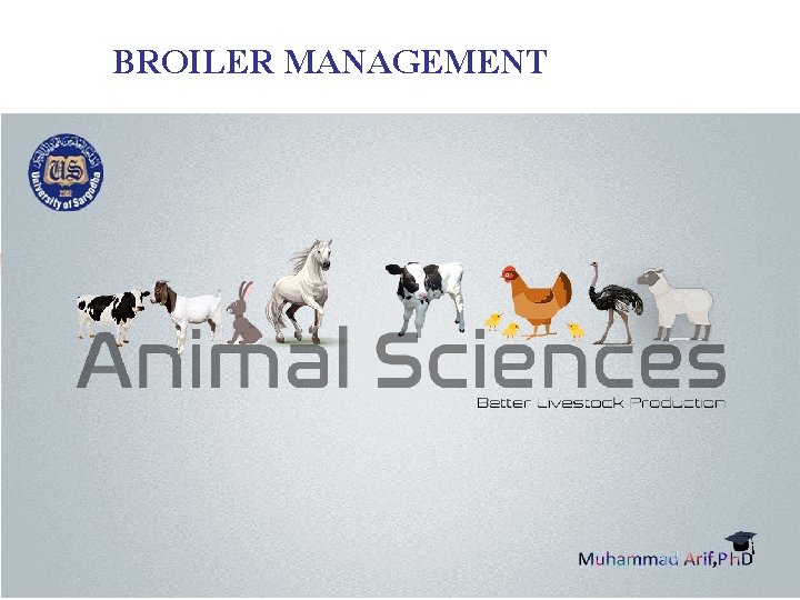 BROILER MANAGEMENT 