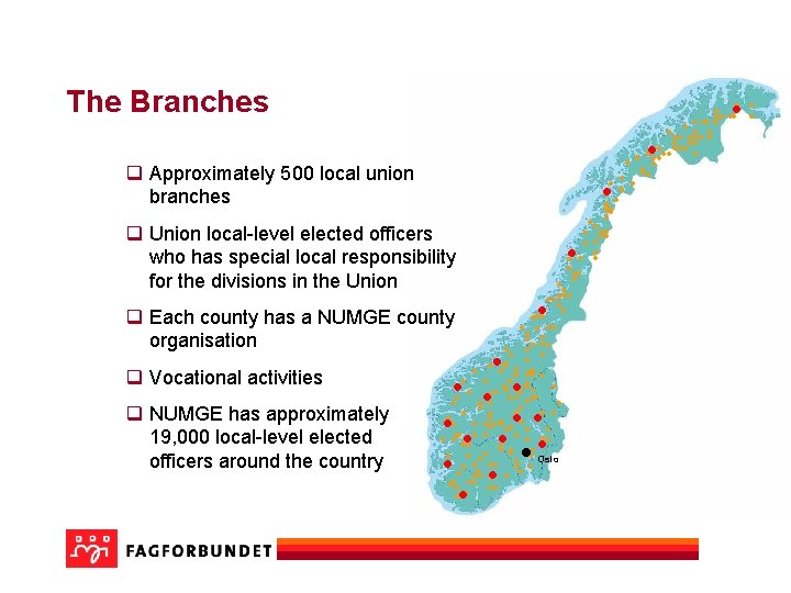 The Branches • • • • • • • q • • • •