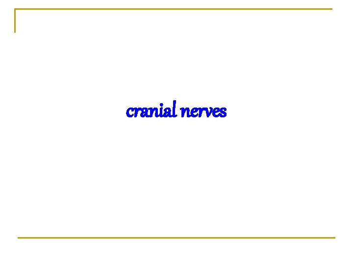 cranial nerves 