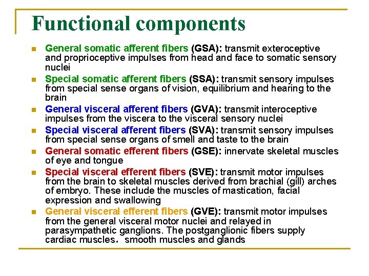 Functional components n n n n General somatic afferent fibers (GSA): transmit exteroceptive and