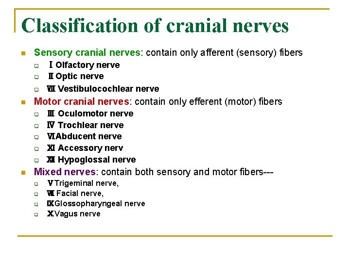 Classification of cranial nerves n Sensory cranial nerves: contain only afferent (sensory) fibers q